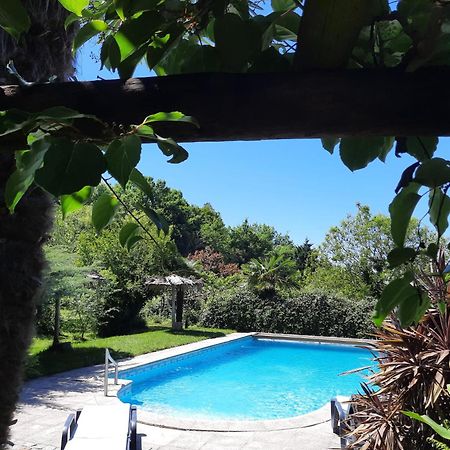 阿马兰特Quinta De Ribas别墅 外观 照片