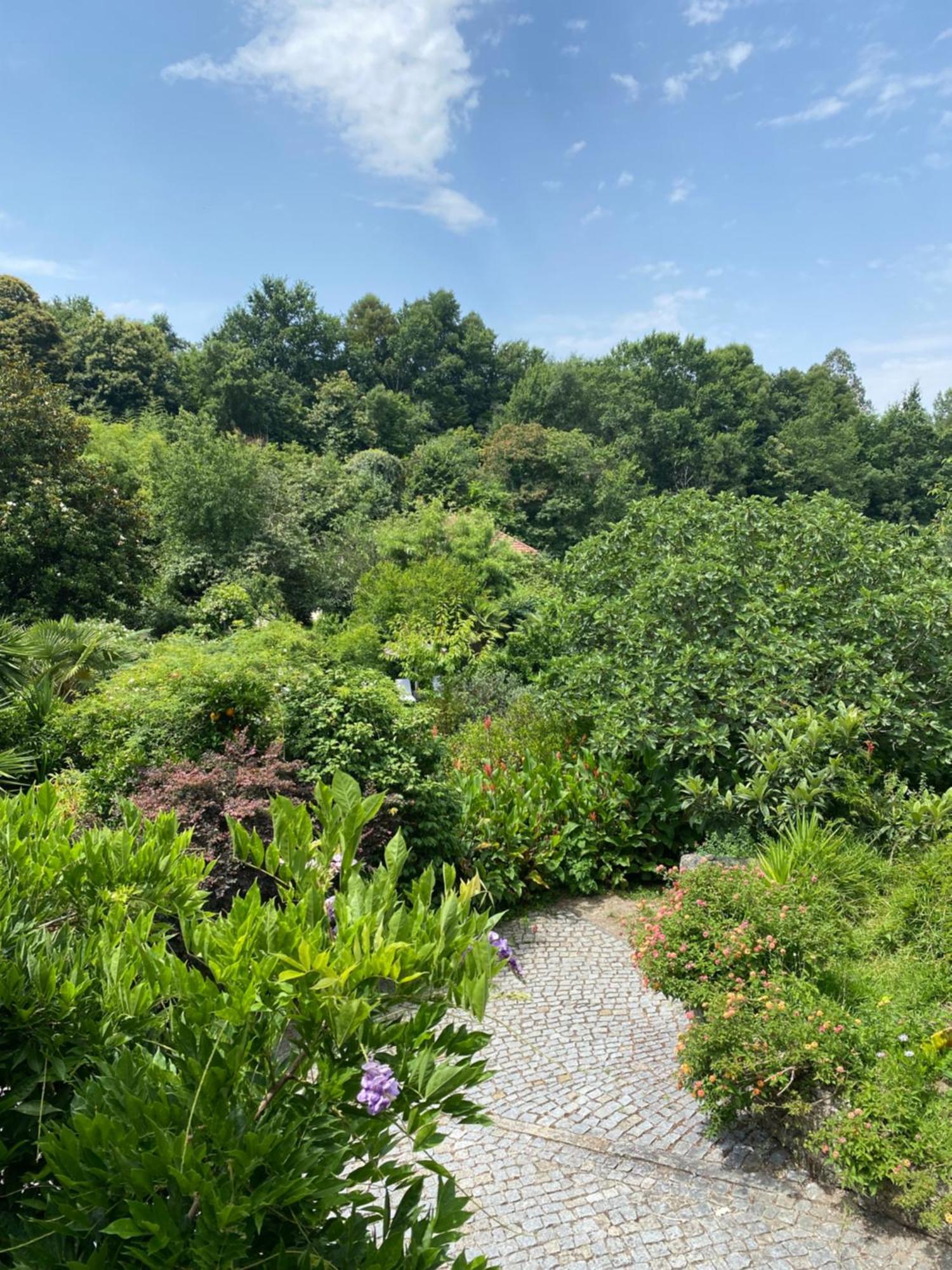 阿马兰特Quinta De Ribas别墅 外观 照片