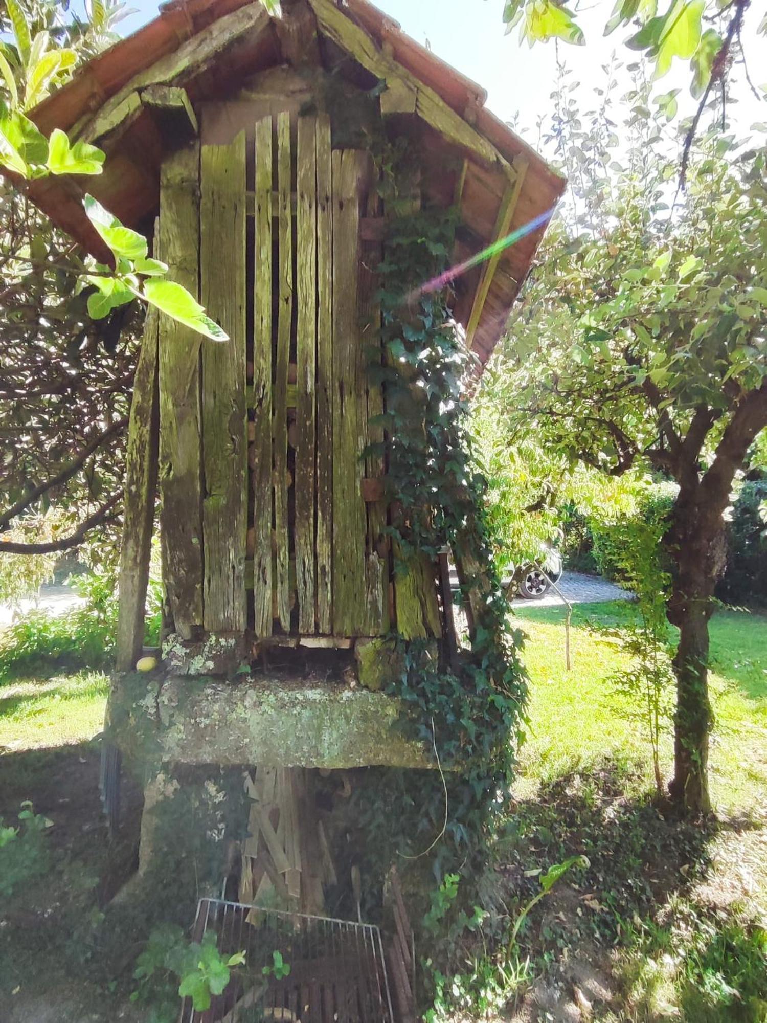 阿马兰特Quinta De Ribas别墅 外观 照片