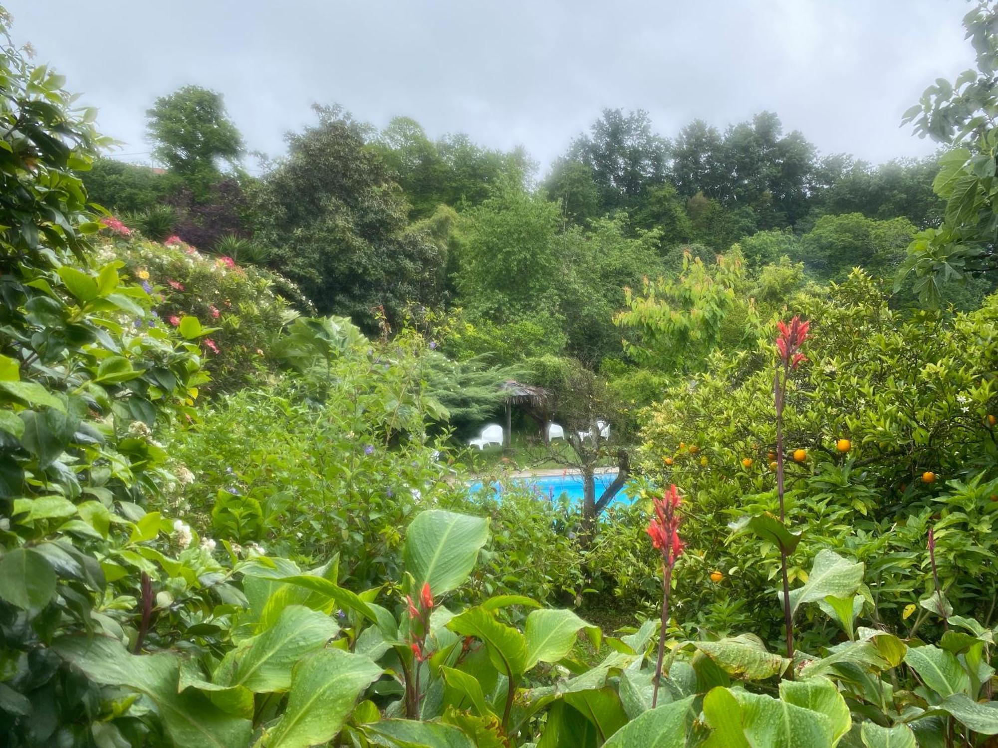 阿马兰特Quinta De Ribas别墅 外观 照片