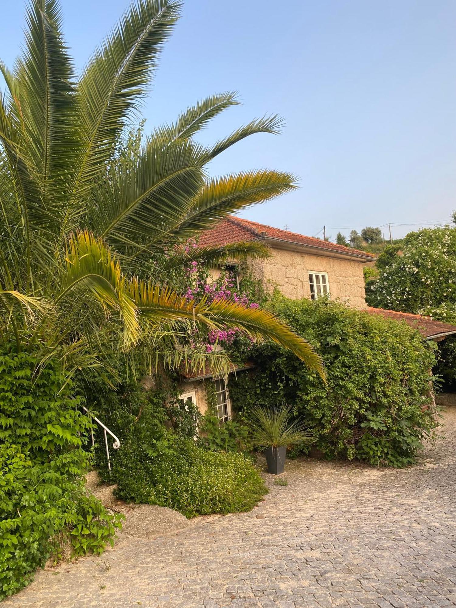 阿马兰特Quinta De Ribas别墅 外观 照片