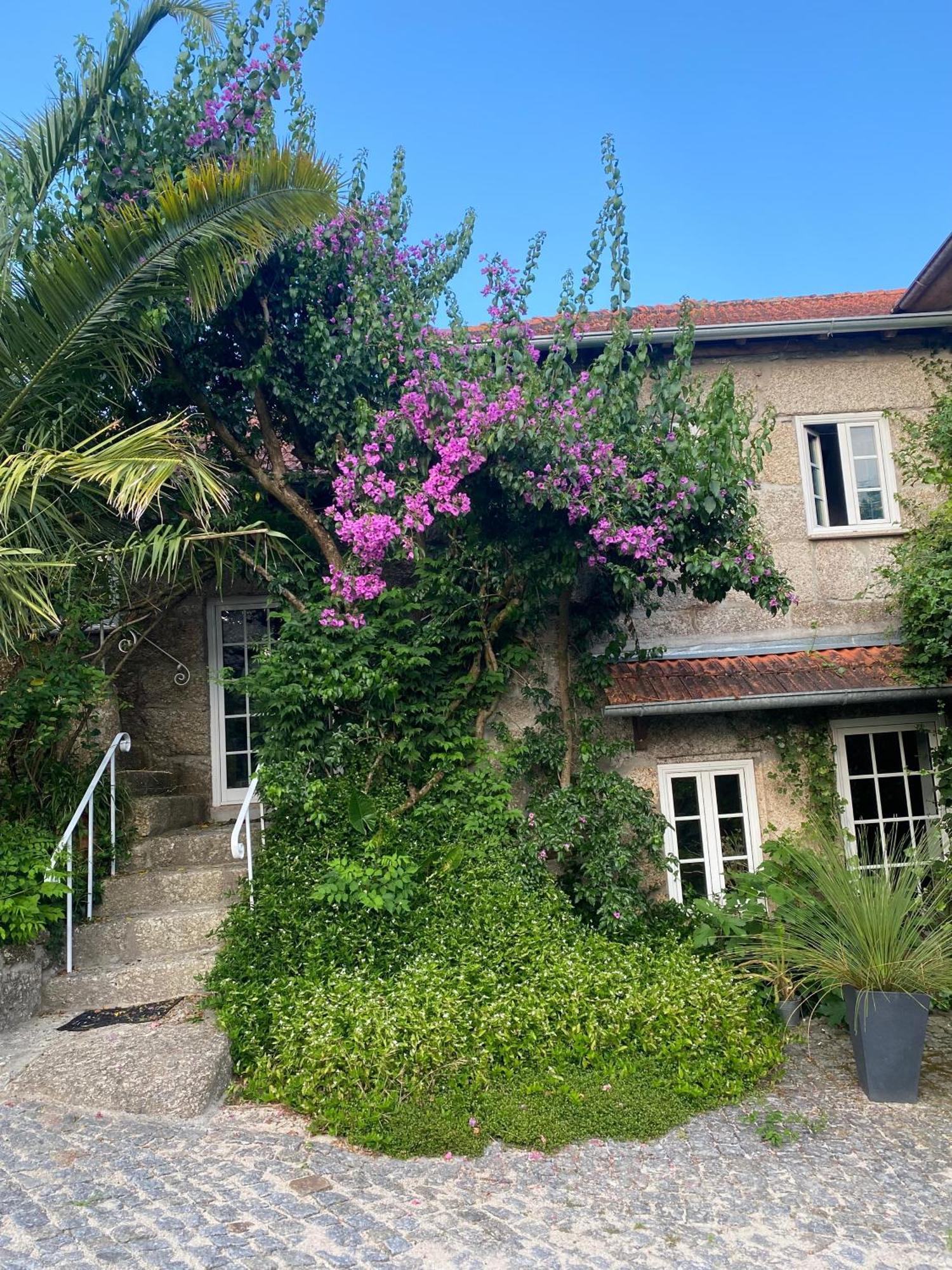 阿马兰特Quinta De Ribas别墅 外观 照片